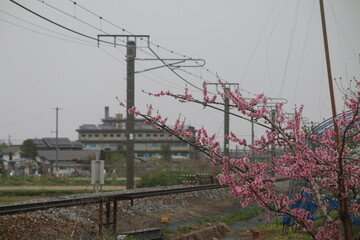 篠ノ井線の電車