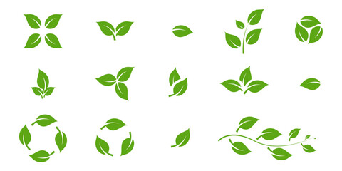 Green leaf icons set. Fill Leaves icon isolated background. Collection of green leaf. Elements design for natural, eco, vegan, bio labels. Ui,web and other. Vector illustration Concept