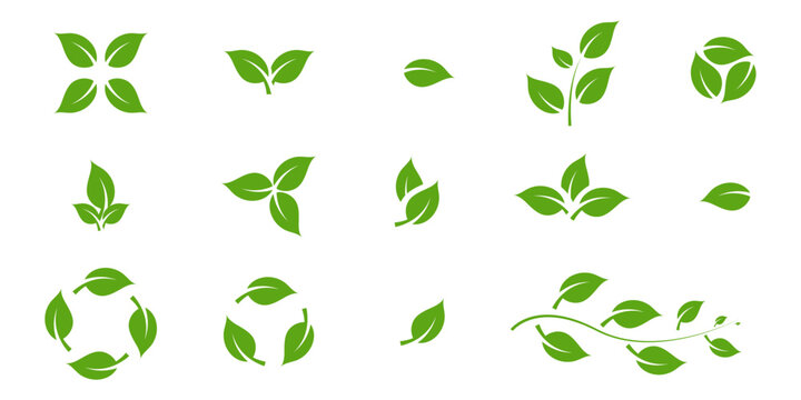 Green leaf icons set. Fill Leaves icon isolated background. Collection of green leaf. Elements design for natural, eco, vegan, bio labels. Ui,web and other. Vector illustration Concept