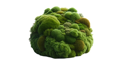 Obraz premium moss isolated on white background