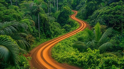 A dirt road that winds through a dense forest. Overview of the Ecotourism Industry's History