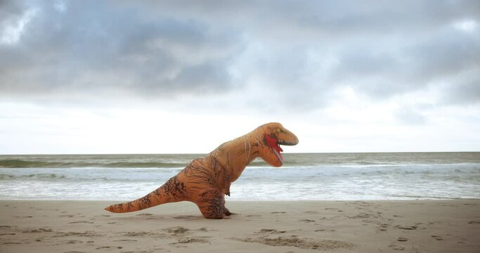 Mascot, running or wave as fun, humor or prehistoric comedy as crazy, exhausted or sport by sea. T-rex, inflatable or costume as tired by fitness, jump or workout as joke, comic or cardio by predator