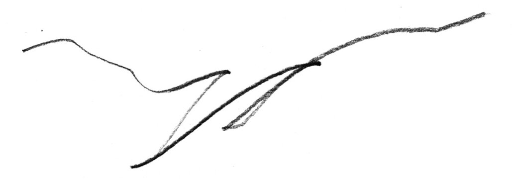 Pencil Scribble on Transparent Background