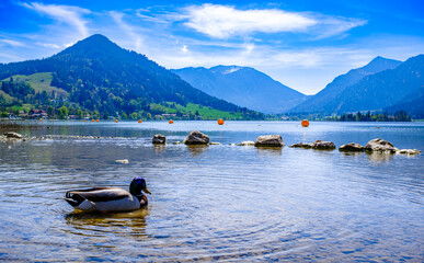 famous schliersee in bavaria - germany