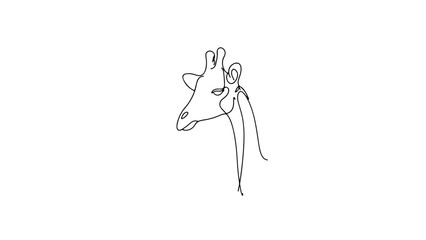 A continuous line drawing of a giraffe head © Ibrahim