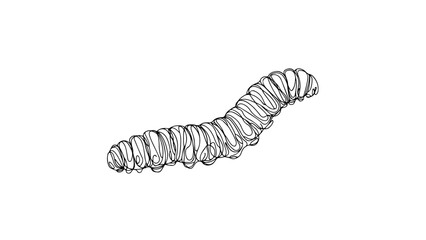 A continuous line drawing of a realistic caterpillar