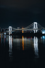 Bridge in Odaiba Marine Park at night, Tokyo