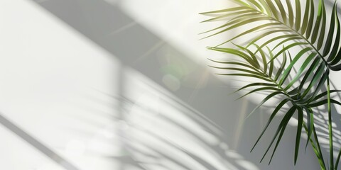 Palm leaves in window sunshine. Natural, tropical interior design for leisure and creativity. On a sunny canvas with botanical elegance.