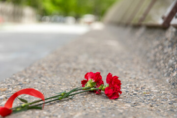 Two red carnations lie on a marble monument