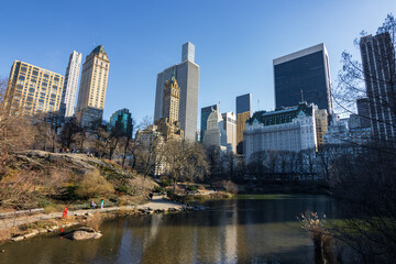 Fototapeta na wymiar Skyline from central park in winter in New York City (USA)