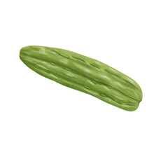 bitter melon illustration on png transparant background 
