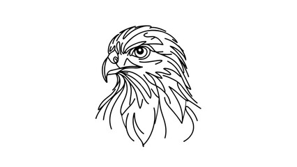 A realistic hawk head depicted in a continuous line drawing style