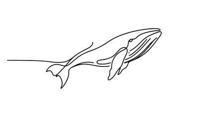 one line drawing of a realistic whale
