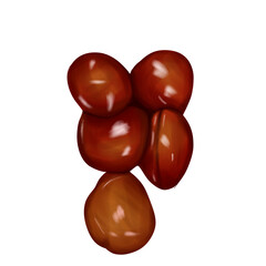 ripe jengkol fruit illustration