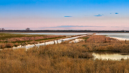 Spring evening at Wapisu Marsh irrigation channel in Saskatchewan
