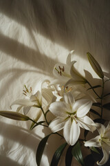 Majestic White Lilies Captured in Dynamic Sunlight and Shadows