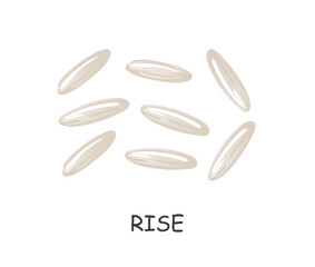 hand drawn rice seeds in cartoon style