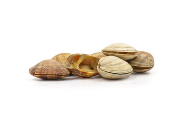 Closed up fresh baby clams, venus shell, shellfish, carpet clams, short necked clams, as raw food from the sea are the seafood ingredients. fresh clams Background.