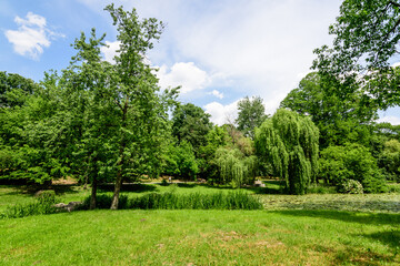 Vivid landscape in Nicolae Romaescu park from Craiova in Dolj county, Romania, with lake, waterlillies and large green tres in a beautiful sunny spring day with blue sky and white clouds