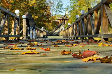 Moscow oblast. Russia. Maple leaves in autumn colors lie on a wooden bridge in the Orthodox...