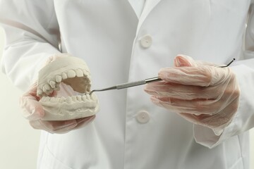 Doctor holding dental model with jaws and tool on white background, closeup. Cast of teeth