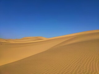 Fototapeta na wymiar Western Desert of Jaisalmer, India