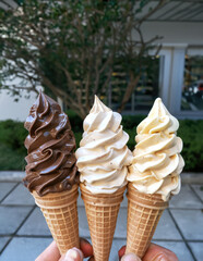 3 delicious soft serve ice cream cones. The one on the left dark chocolate, the right, vanilla, and the center mixed dark chocolate and vanilla.