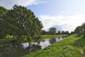 Beautiful landscape view down one of the many waterways in a nature reserve on the Somerset levels in summer