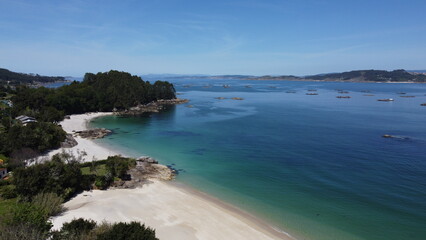 Fototapeta premium Scenic beach bordering vibrant ocean, lush greenery, inviting azure waters. Serene paradise backdrop for stock photography 