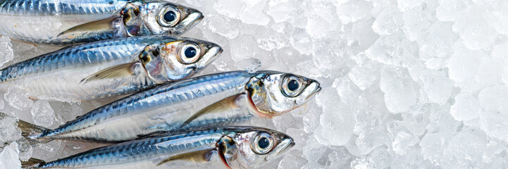 Top view of sprat or herring on crushed ice. - obrazy, fototapety, plakaty