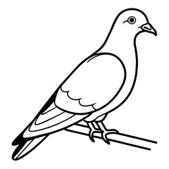 Bird coloring book vector illustration (17)