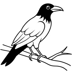 Bird coloring book vector illustration (14)