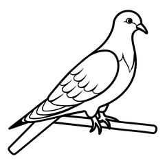 Bird coloring book vector illustration (18)