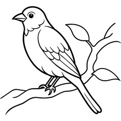 Bird coloring book vector illustration (22)