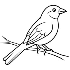 Bird coloring book vector illustration (26)