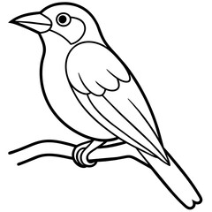 Bird coloring book vector illustration (21)