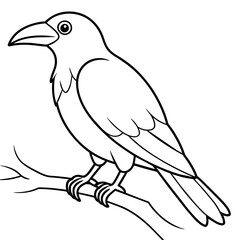 Bird coloring book vector illustration (19)