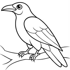 Bird coloring book vector illustration (23)