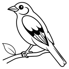 Bird coloring book vector illustration (27)