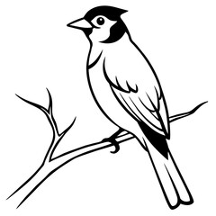 Bird coloring book vector illustration (31)