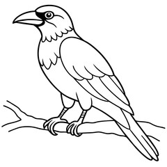 Bird coloring book vector illustration (29)