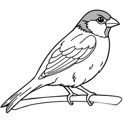 Bird coloring book vector illustration (16)