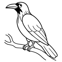Bird coloring book vector illustration (24)