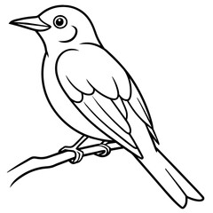 Bird coloring book vector illustration (32)