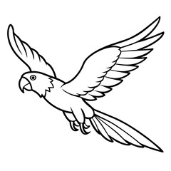 Bird coloring book vector illustration (51)