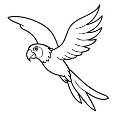 Bird coloring book vector illustration (52)