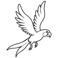 Bird coloring book vector illustration (55)