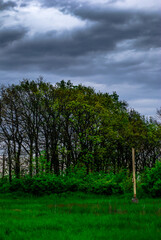 Forest and field . Road to forest . Green field . Clouds and rainstorm over the lands . Landscape in stormy day /Summer forest . Green colors in nature 