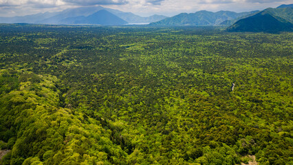 Aerial view of the "Sea of Trees" aokigahara forest in the Fuji area of Japan