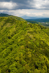 Aerial view of a mountain ridge covered in lush green forest next to a lake (Lake Saiko)